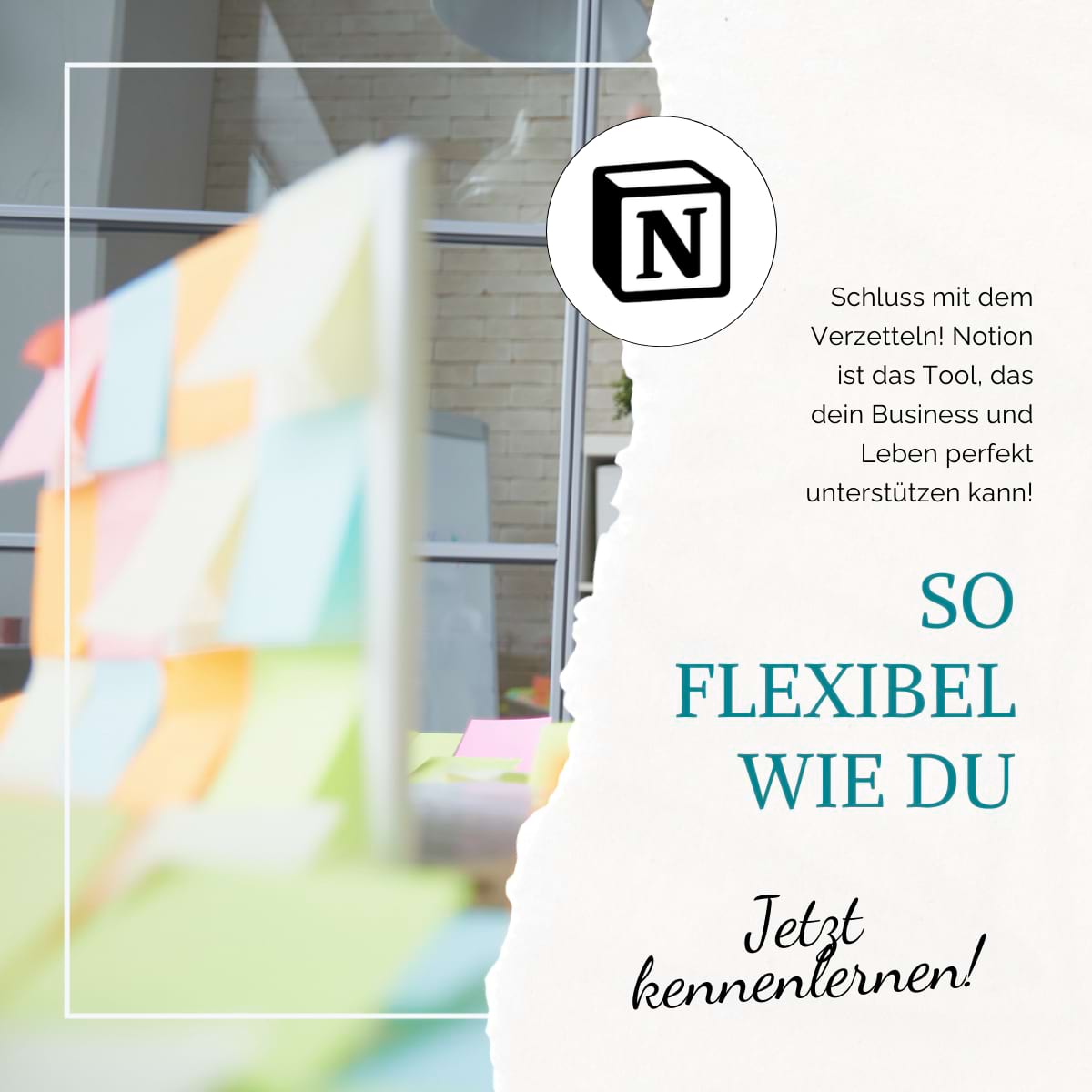 Organisiere dein gesamtes Business in einem Tool - mit Notion